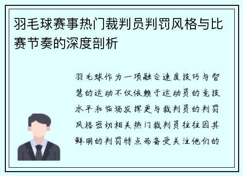 羽毛球赛事热门裁判员判罚风格与比赛节奏的深度剖析